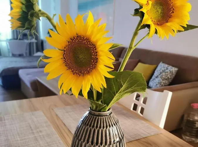 Silver A 27 Апартаменты