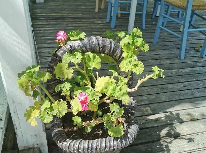 Апартаменты Silver A 27 Бяла